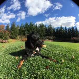 Meet your Posher, Kelly